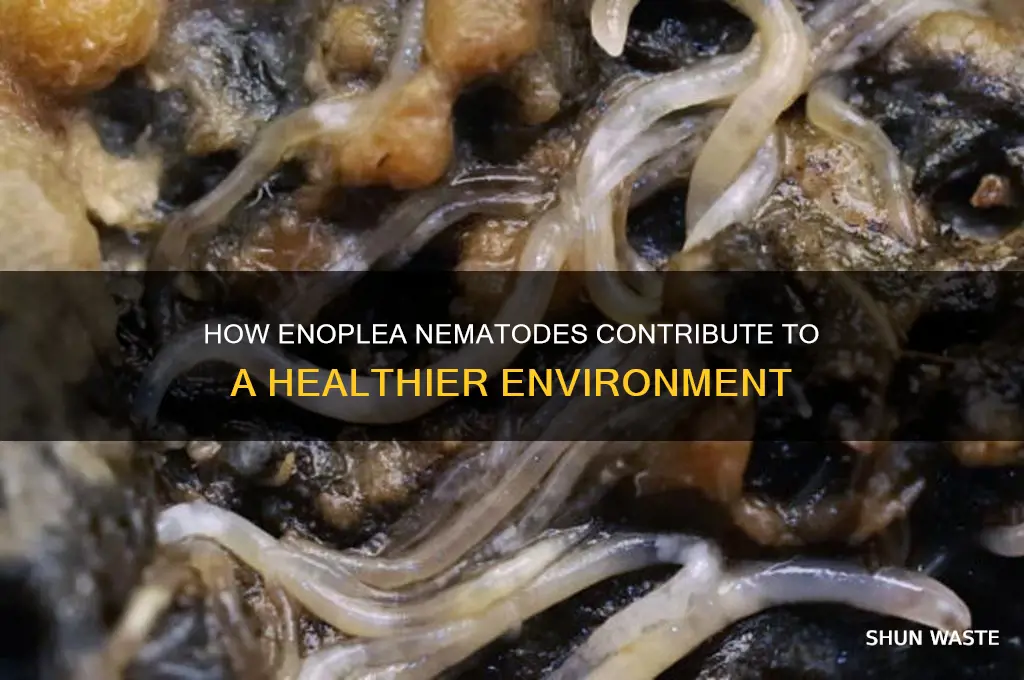 how do enoplea help the environment