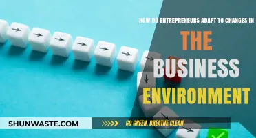 Navigating Shifts: Entrepreneurial Strategies for Adapting to Business Changes