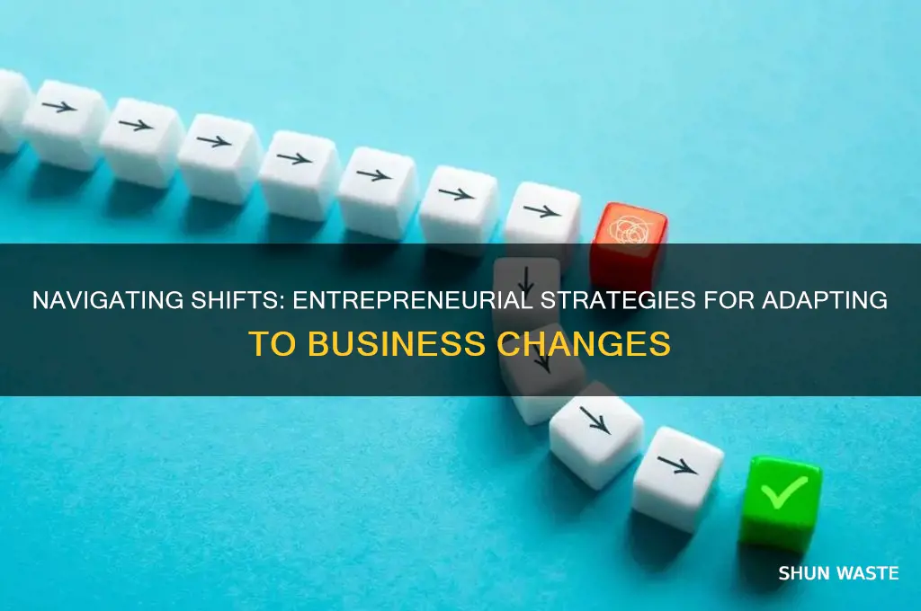 how do entrepreneurs adapt to changes in the business environment