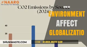Environmental Impacts on Globalization: Shaping Economies, Cultures, and Policies Worldwide