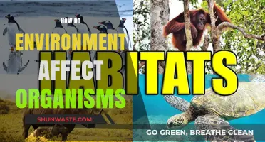 Environmental Impacts: Shaping Organisms' Survival, Adaptation, and Evolution