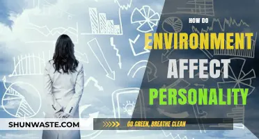 Environment's Impact: Shaping Personalities Through Surroundings and Experiences