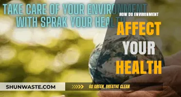 Environmental Impact on Health: Uncovering Hidden Connections and Risks