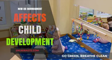Environmental Influences on Child Development: Shaping Growth and Potential