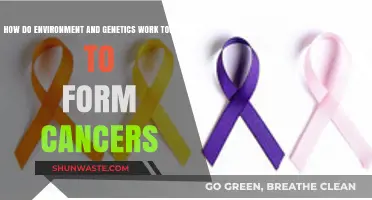 Environmental and Genetic Factors: Unraveling Their Complex Role in Cancer Development