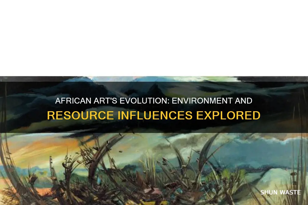 how do environment and resources affect african art