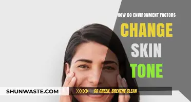 Environmental Factors and Their Impact on Skin Tone Variations