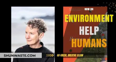 How Nature Nurtures: The Vital Role of Environment in Human Life