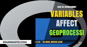 Environment Variables' Impact on Geoprocessing Efficiency and Accuracy