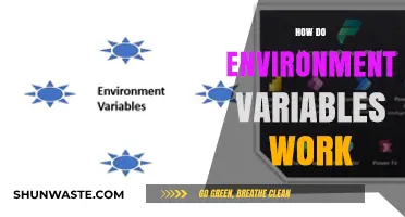 Understanding Environment Variables: How They Work and Why They Matter