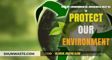 Environmental Awareness: Empowering Actions to Safeguard Our Planet's Future