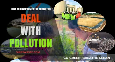 Engineers' Innovative Strategies to Combat Pollution
