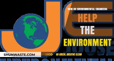 Environmental Engineers: Innovating Solutions for a Sustainable Future