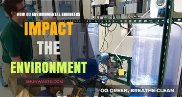 Environmental Engineers: Shaping Sustainable Solutions for a Greener Future