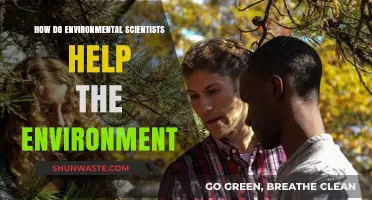 Environmental Scientists: Guardians of Nature's Future and Sustainability