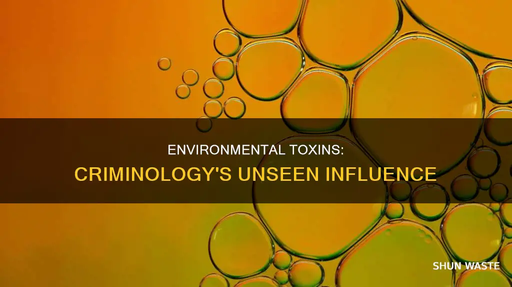 how do environmental toxins and pollutions affect criminiology