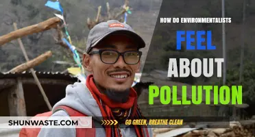 Environmentalists' Take on Pollution: A Personal Perspective