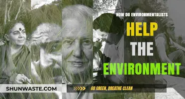 Environmentalists' Impact: Strategies and Actions to Protect Our Planet