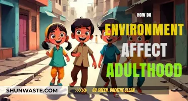 Childhood Environments: Shaping Personalities, Behaviors, and Outcomes in Adulthood