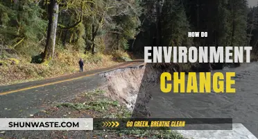Exploring the Dynamic Forces Shaping Our Changing Environments Over Time