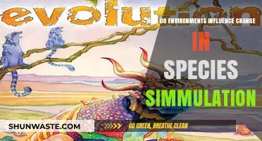 Environments Shaping Evolution: Simulating Species Adaptation and Transformation