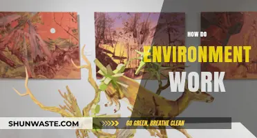 Understanding Environments: How They Function and Shape Our World