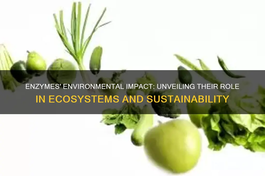 how do enzymes affect the environment
