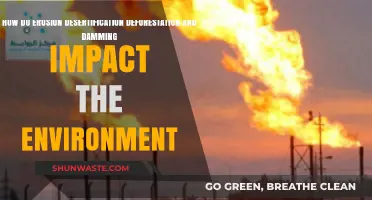 Environmental Impacts: Erosion, Desertification, Deforestation, and Damming Explained