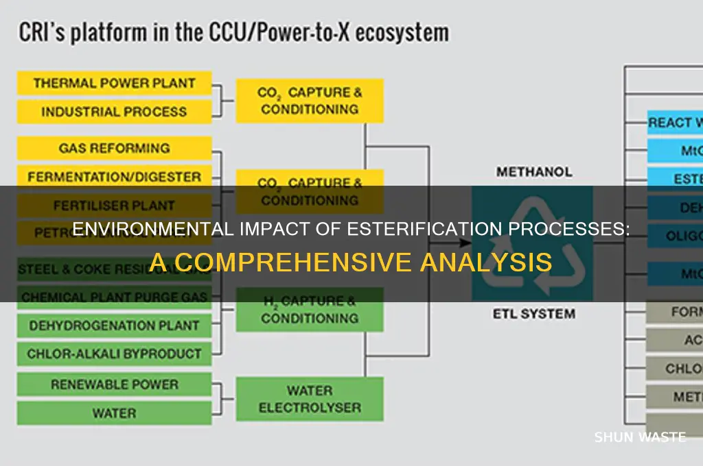 how do esterfications affect the environment