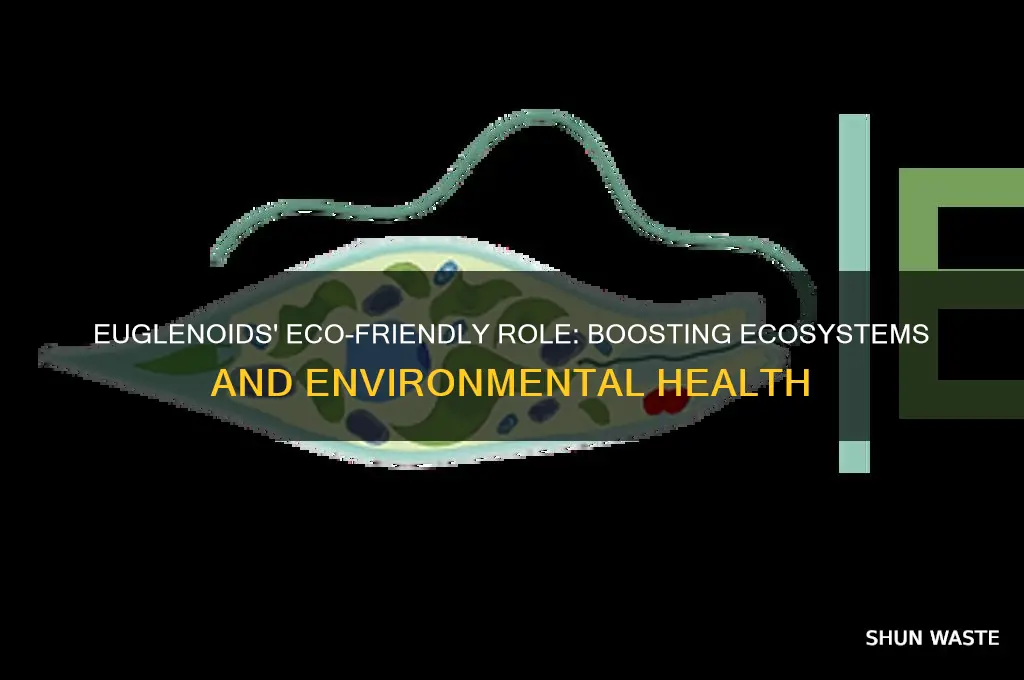 how do euglenoids do to help the environment