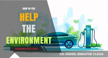 Electric Vehicles: Driving a Greener Future and Reducing Carbon Footprints