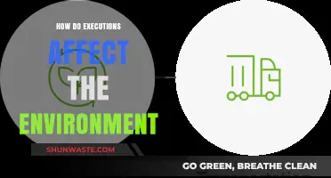 Executions' Environmental Impact: Uncovering the Hidden Ecological Consequences