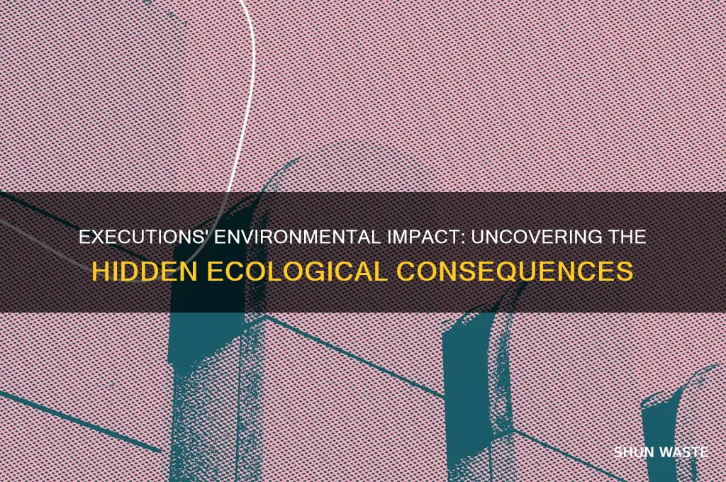 how do executions affect the environment