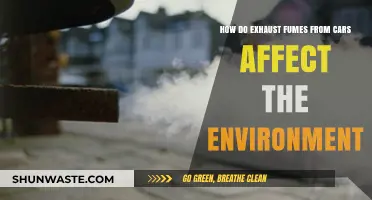 Car Exhaust Fumes: Environmental Impact and Sustainable Solutions Explored