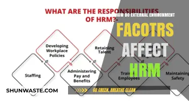 External Environment Factors: Shaping HRM Strategies and Organizational Success