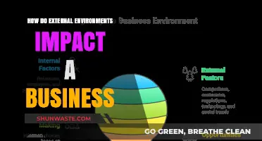 Navigating External Forces: How Environments Shape Business Success and Strategy