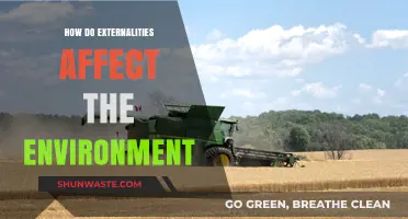 Environmental Impact: Understanding How Externalities Shape Our Planet's Health