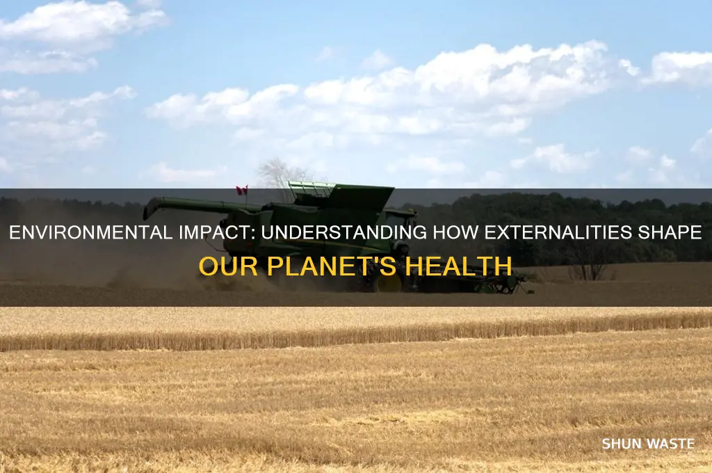 how do externalities affect the environment