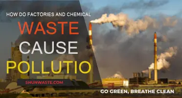 Factory Emissions: The Hidden Cost of Chemical Waste Pollution