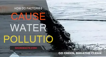 Industrial Water Pollution: The Hidden Cost of Factory Production