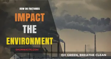 Factories' Environmental Footprint: Pollution, Waste, and Ecosystem Disruption Explained