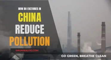 China's Green Revolution: Reducing Factory Pollution