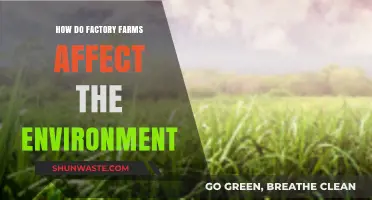 Factory Farms' Environmental Impact: Pollution, Deforestation, and Climate Crisis