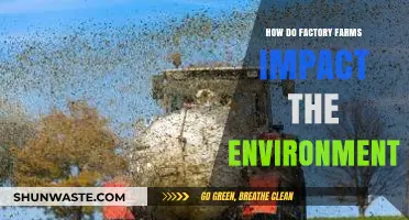 Factory Farms' Environmental Impact: Pollution, Deforestation, and Climate Change