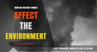 Factory Fumes: Environmental Impact and Long-Term Consequences Explained