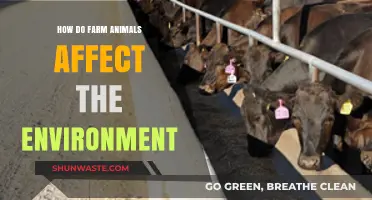 Farm Animals' Environmental Impact: Understanding Their Role in Ecosystems