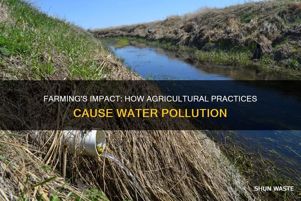 how do farmers contribute to water pollution