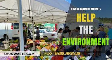 Farmers Markets: Sustainable Shopping for a Greener, Healthier Planet