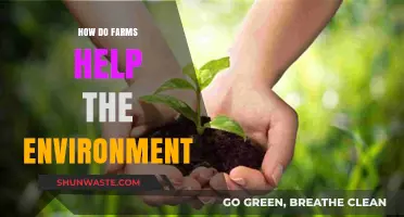 Sustainable Farming Practices: How Agriculture Benefits Our Environment