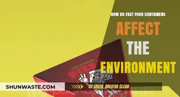 Fast Food Packaging: Environmental Impact and Sustainable Alternatives
